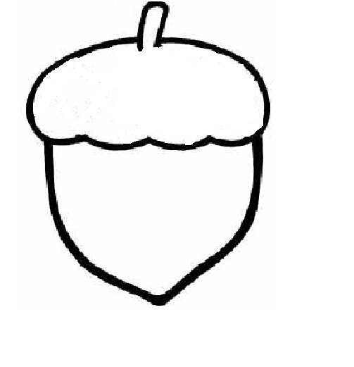 acorn coloring pages - photo #36